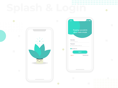 Succulents Care App adobexd design gui ios login mobile succulents user experience user interface