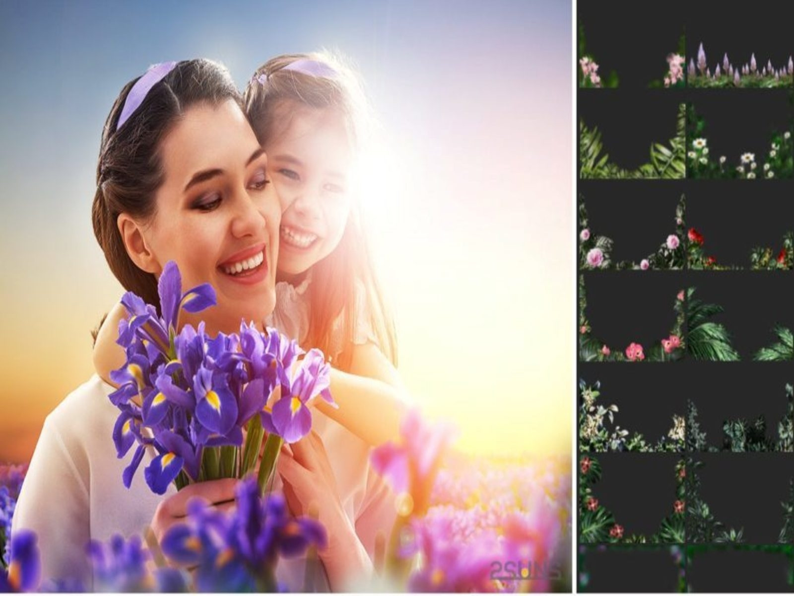 Flower Photoshop Overlays By Shirley Steele On Dribbble Flower Photoshop Overlays By Shirley Steele On Dribbble