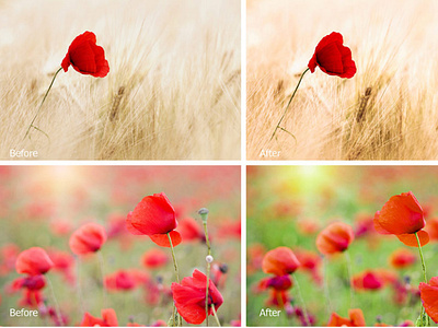 Poppy Lightroom Presets