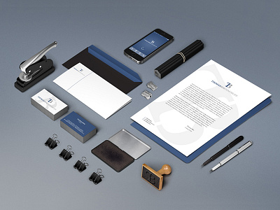 Branding Identity Thomas Bise Immobilier