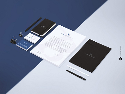 Branding Identity Thomas Bise Immobilier Final charte graphique corporate indentity logo logotype tb thomas bise