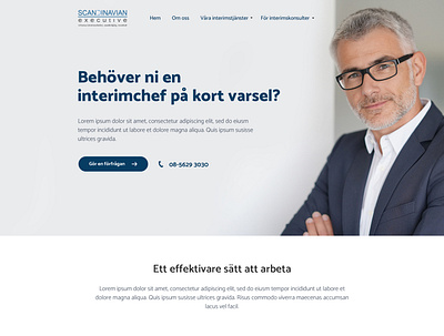 scandinavianexecutive.se branding project webdesign website website concept