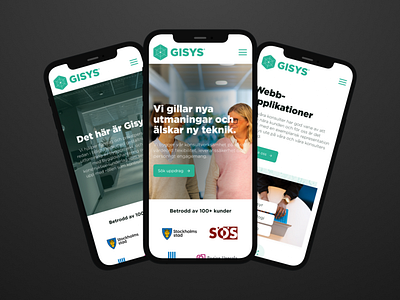 Gisys - Konsultverksamhet branding project sweden webdesign website website concept