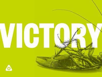 VICTORY. bugs pest pms 382 type