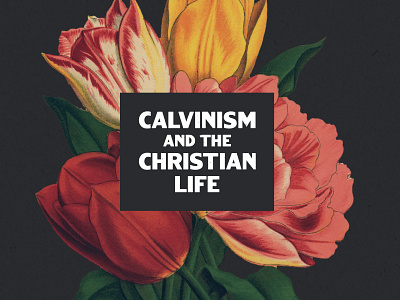 C*lvinism calvinism flowers reformed texture type