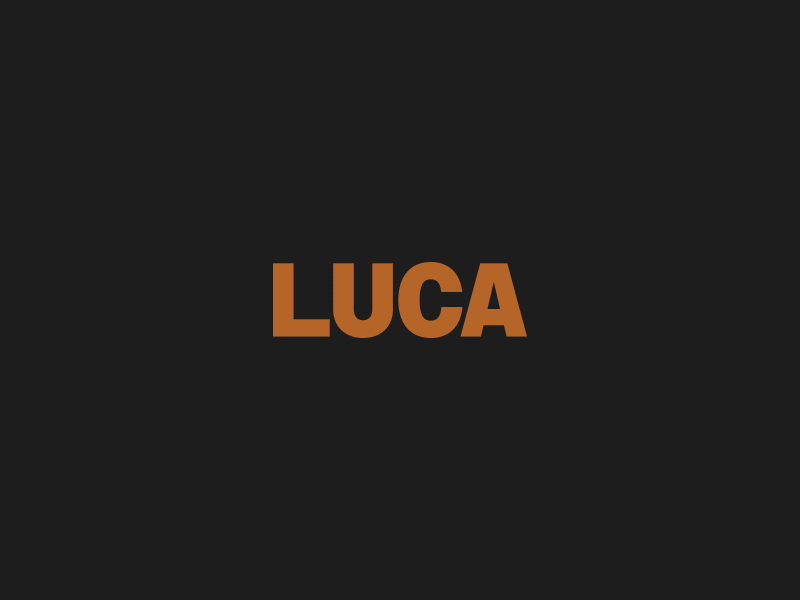 LUCA case study finance geomtric identity mark naming