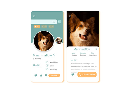 Pet adoption app adobe xd adobexd adopt adoption challenge daily dailyui dog mobile app pet ui ux xddailychallenge