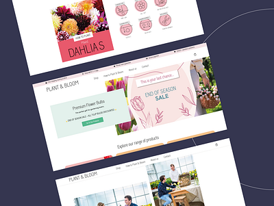 Webdesign inspiration: Plant & Bloom🌷 design flowers graphic design ui webdesign webdesigns