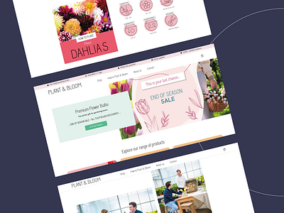 Webdesign inspiration: Plant & Bloom🌷