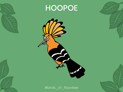 Hoopoe art birds branding brush design dribbble illustration