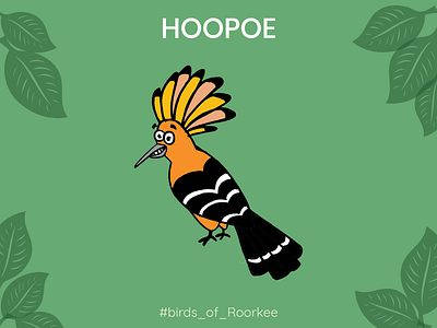 Hoopoe