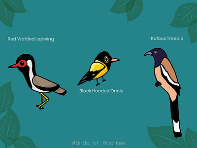 Birds of Roorkee art birds design dribbble illustration
