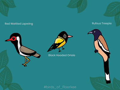 Birds of Roorkee