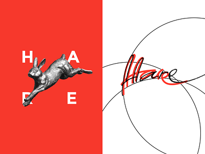 Hare logo branding design process lettering logo nordic startup