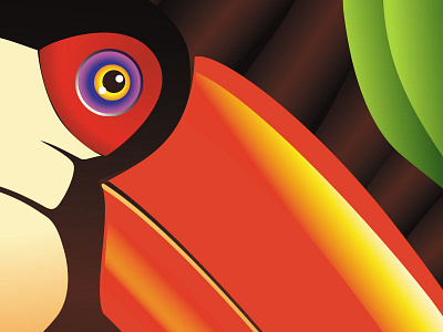 Tucano – Tropicalia Series colours illustration tropicalia