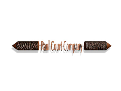 Paul Court Logo 3d modeling photoshop rendering texture mapping