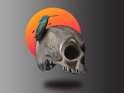 Hope bird color colorful art doodles drawings hummingbird illustrator realism skull