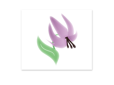 Dogtooth violet logo branding design logo