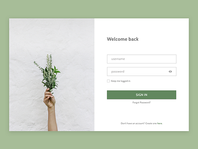 Daily UI 1 Sign In form green login minimal sign in ui