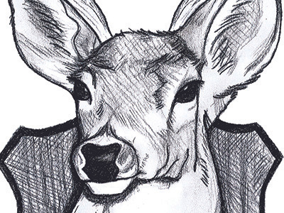 Oscar deer drawing elk pencil sketch