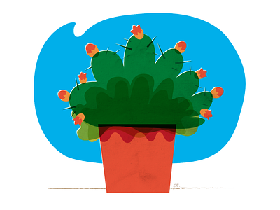 Cactus color design education educational elegant flat illustration illustrator minimal ui vector vegetal website