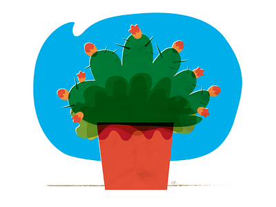 Cactus