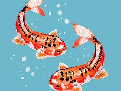 Koi Fish art artwork digital art digital painting illustration illustrator mixed media painting photoshop traditional art traditional painting watercolor