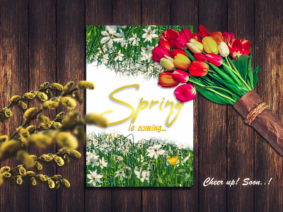 Spring is coming adobe illustrator cc adobe photoshop cc art artboard design design art illustration illustrator minimal postcard spring tulips type typography
