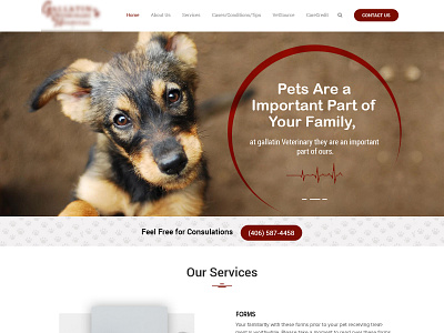 Dog Care web page