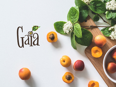 Gaia branding health healty jam jams logo