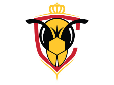 Cincinnati Stingers logo mlh
