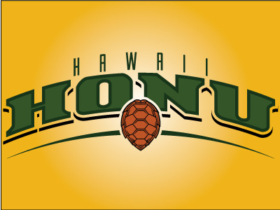 Hawaii Honu