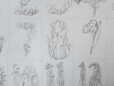 floral numbers drawing floral illustration number pencil process sketch