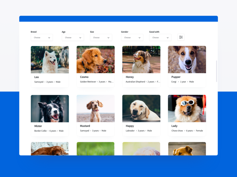 Dogs Adoption platform by Shūko Mishima on Dribbble