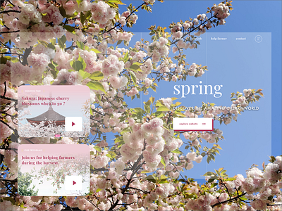 Cherry blossom landing page : concept