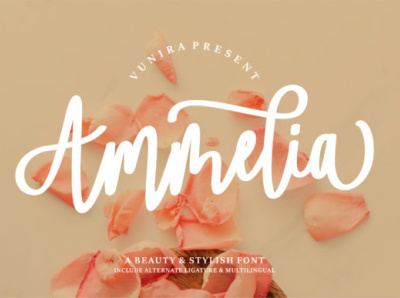 Ammelia Fonts animation app bold branding design font handmade logo newfont typography web