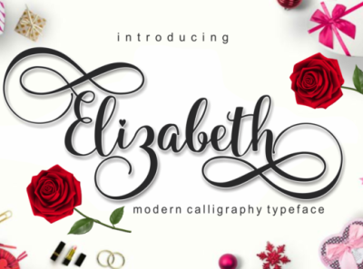 Elizabeth animation app bold branding brush covid19 font logo newfont typography web