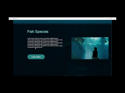 Fish Exploration animation design fish landing page user experience