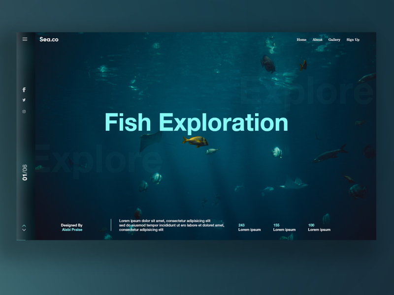 Fish Exploration by Praise Alabi on Dribbble