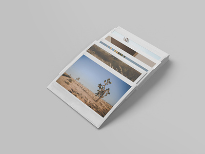 Instant Photo Mockup Vol4 3d instant instax mockup photo psd realistic stack