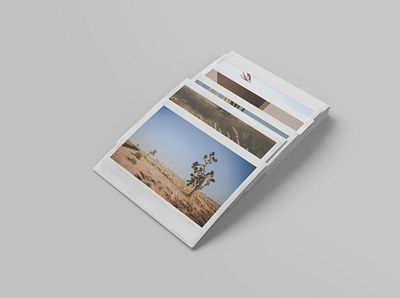 Instant Photo Mockup Vol4 3d instant instax mockup photo psd realistic stack