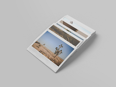 Instant Photo Mockup Vol4