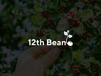 12th Bean logo