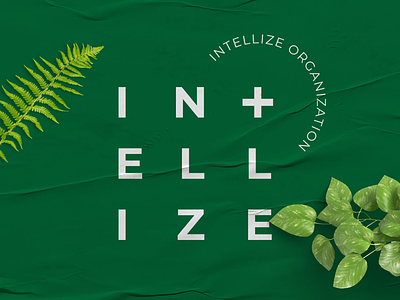 Intellize - Brand Identity branding catering identity logo logotype organization