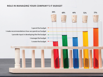 Photo Infographic: 2014 IT Budget Report