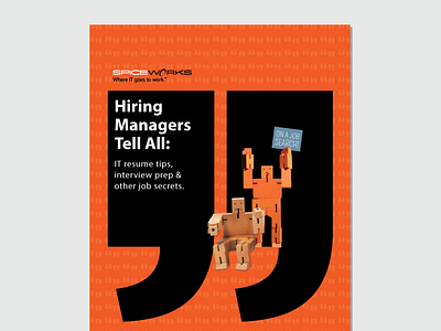 Secrets to Career Success eBook... IT Hiring Managers Tell All.