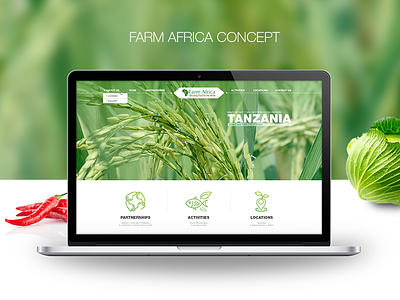 Farm Africa concept design website