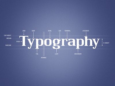 Own Type face 02 design typography vector