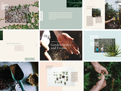 Layout book editorial garden girly layout modern pastels plants serif soft succulents typography