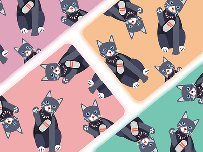 cute kitten「可爱小猫咪」 app branding design icon illustrator ux website
